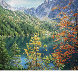 Blink Activity | BlinkLearning