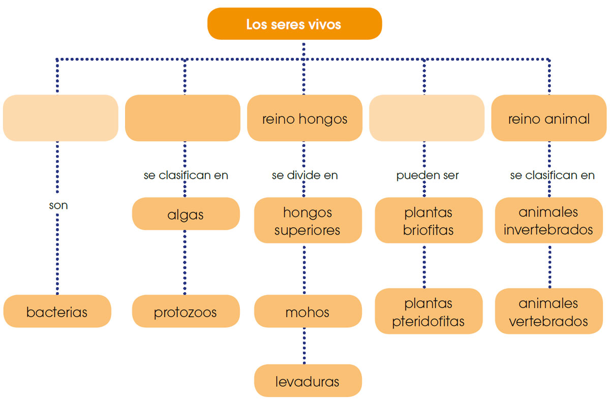 Blink Activity | BlinkLearning, image size:1200x787