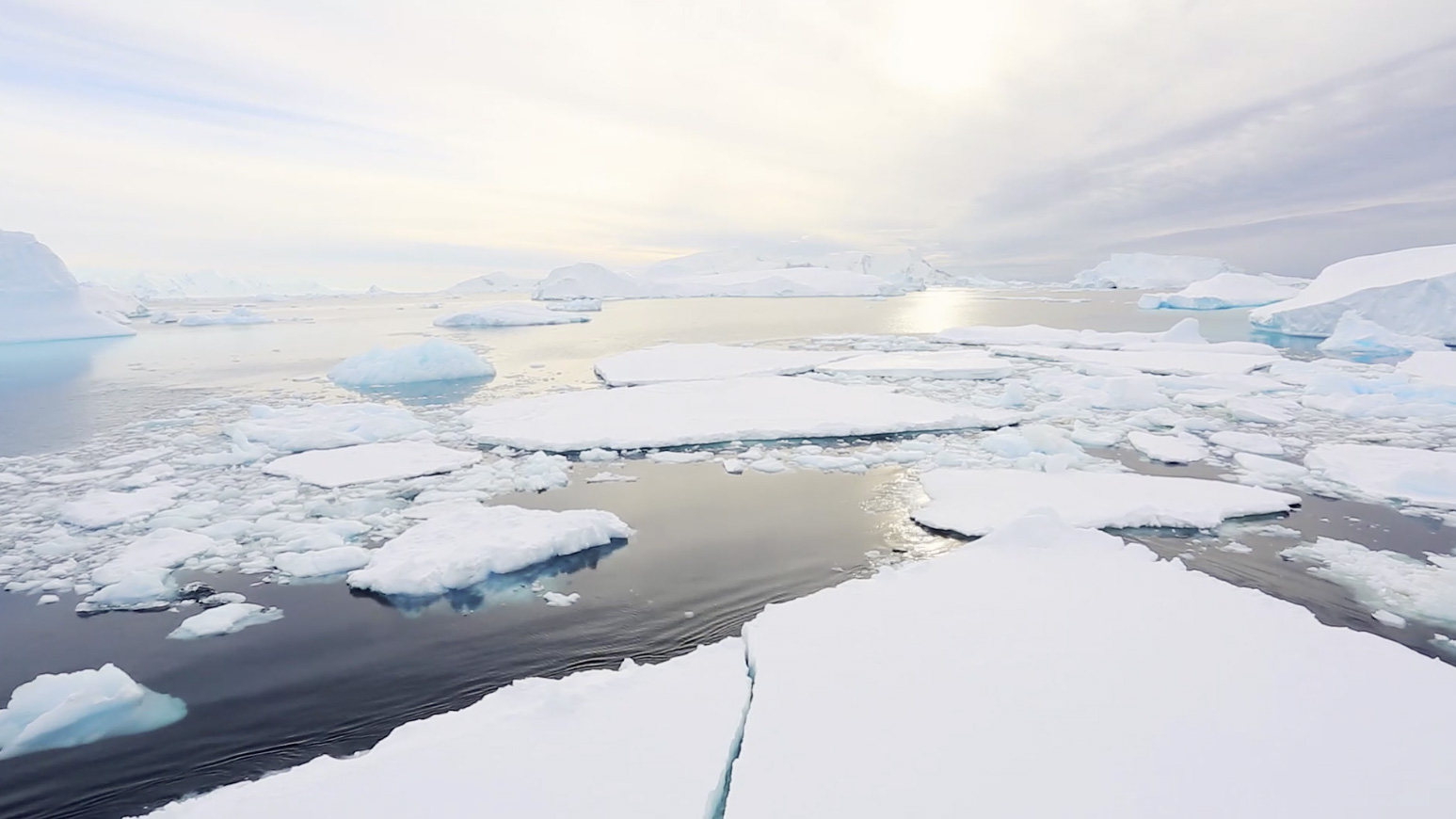 Termometro Acqua Motore Blink 52mm Nero - Analogico Per Auto E Moto | Controllo Temperatura - Foto 3
