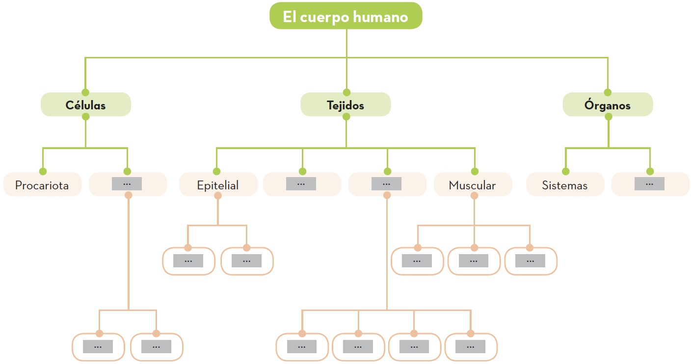 Blink Activity | BlinkLearning