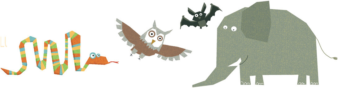 Como Se Mueven Los Murcielagos En La Oscuridad