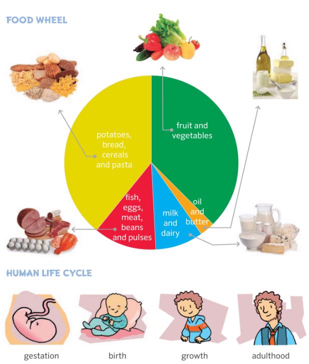 Blink Activity | BlinkLearning