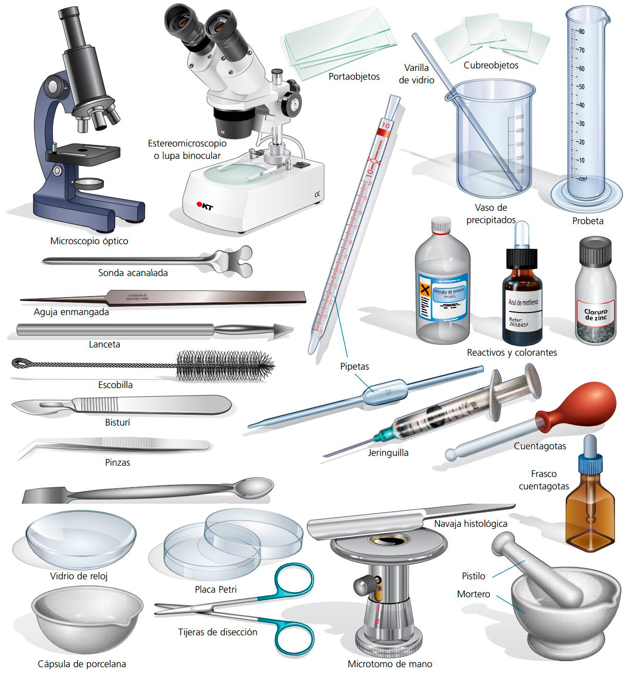 Resultado de imagen de material de laboratorio de biologia