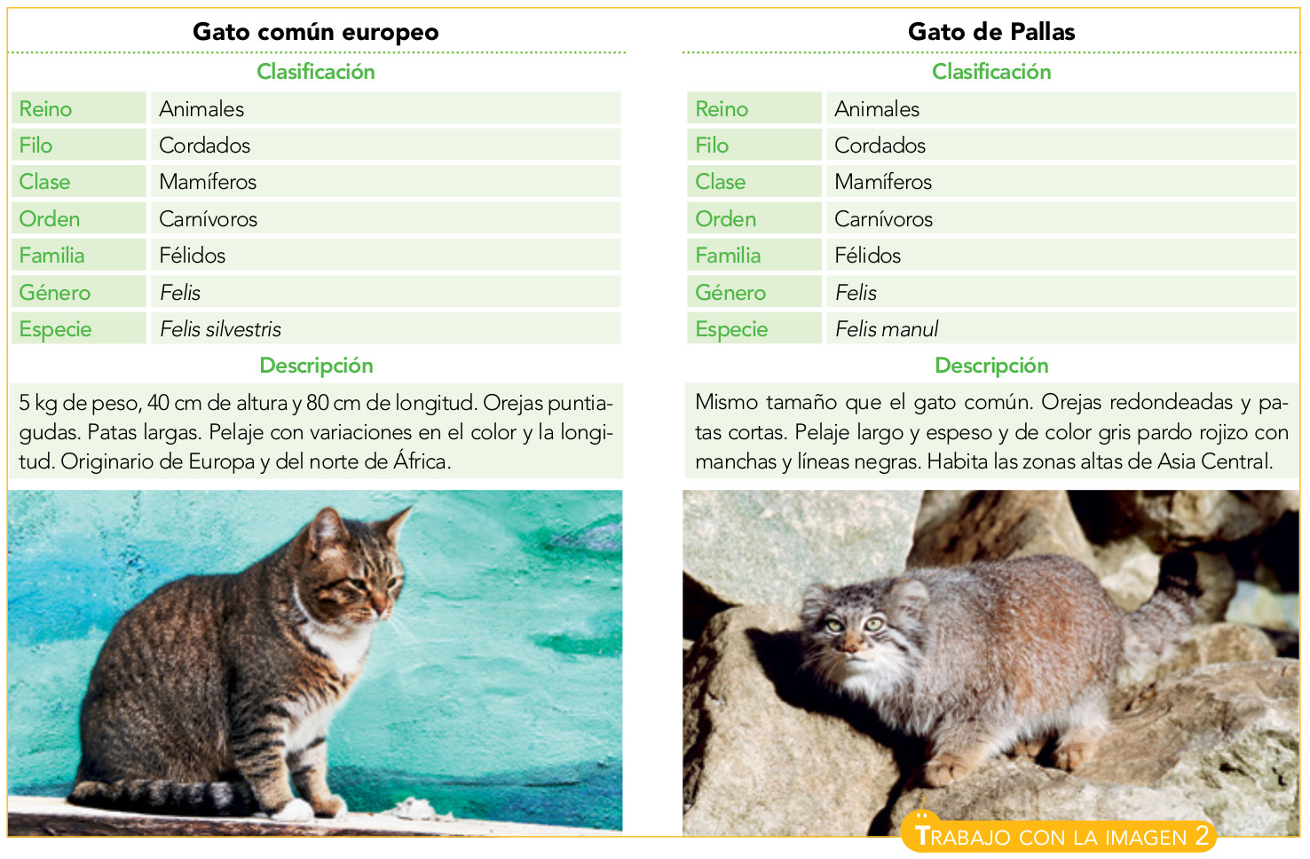 Blink Activity BlinkLearning