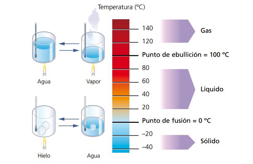 Blink Activity BlinkLearning