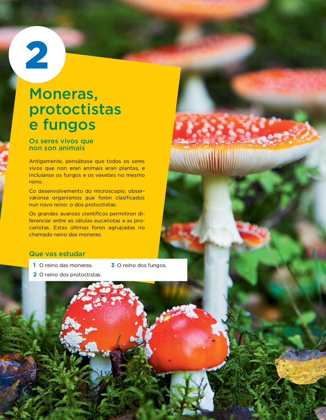 Blink Activity | BlinkLearning