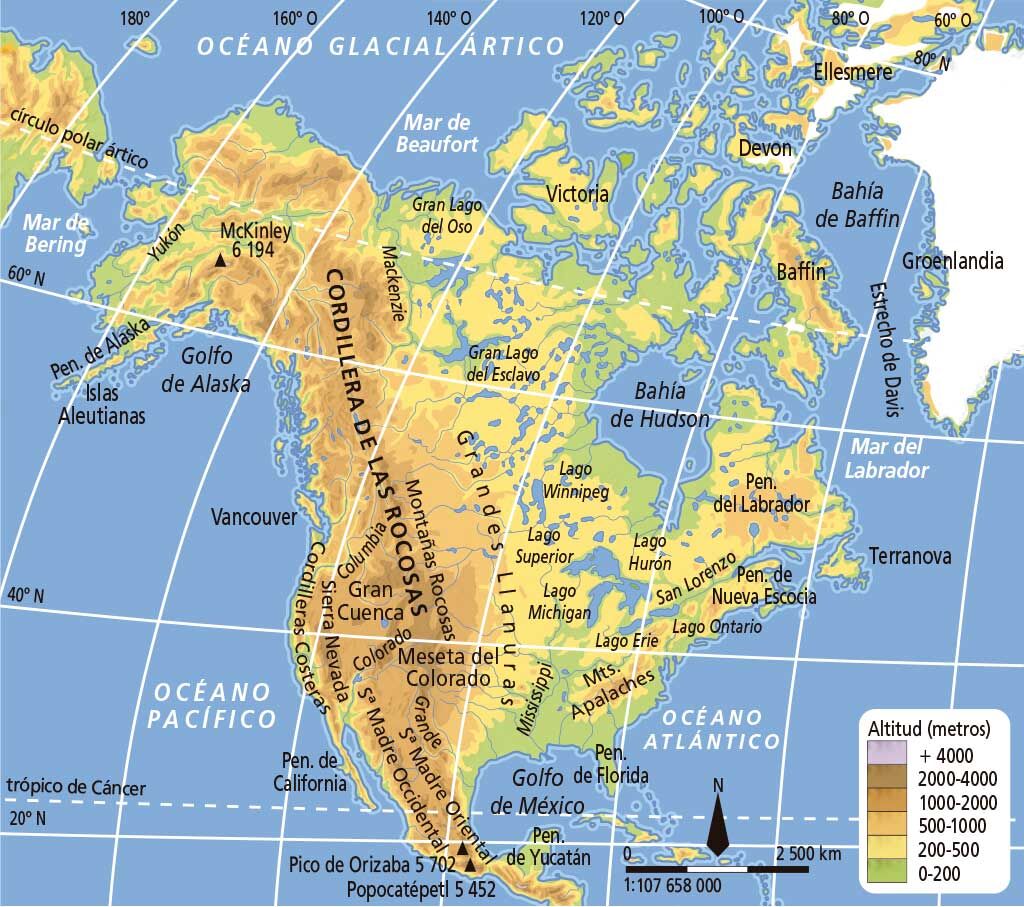 Blink Activity | BlinkLearning, image size:1024x907