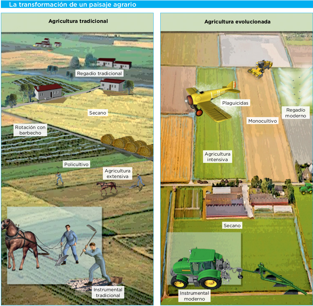 Resultado de imagen para agricultura tradicional a la agricultura intensiva