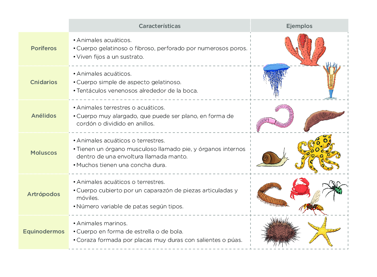 Blink Activity | BlinkLearning