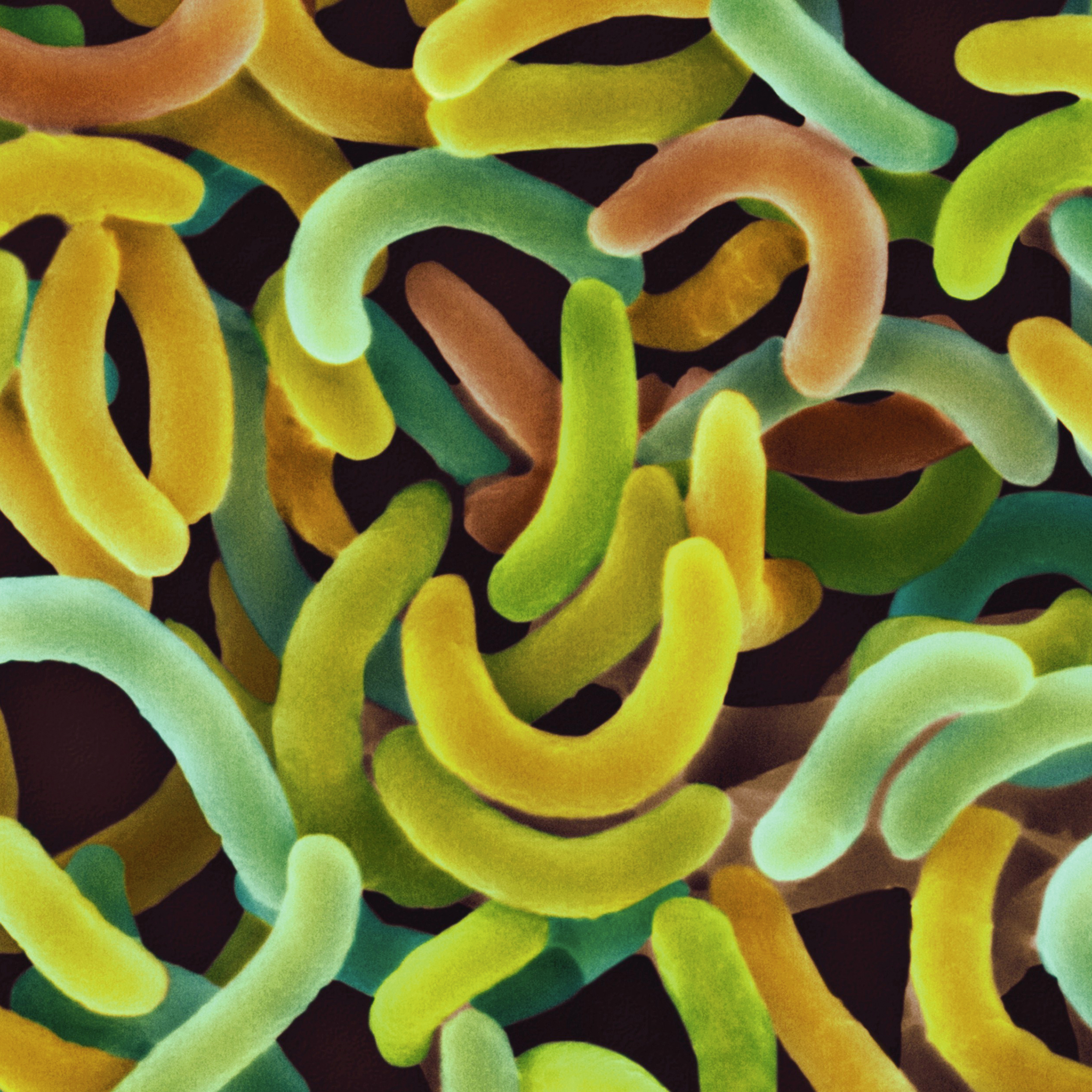 Blink Activity | BlinkLearning