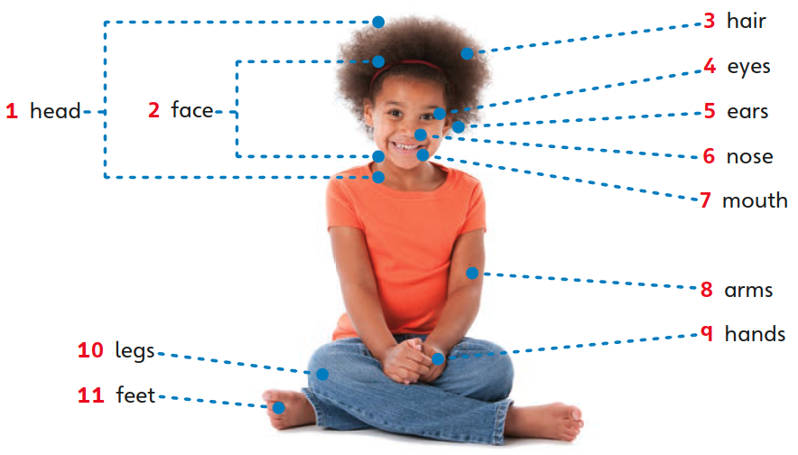 Blink Activity | BlinkLearning