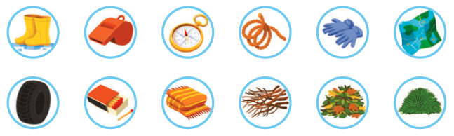 Understanding Items Blink Activity | BlinkLearning