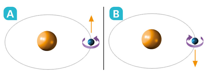 Blink Activity | BlinkLearning
