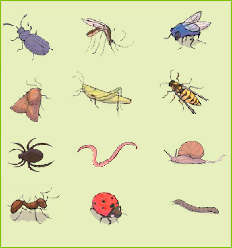 Blink Activity BlinkLearning