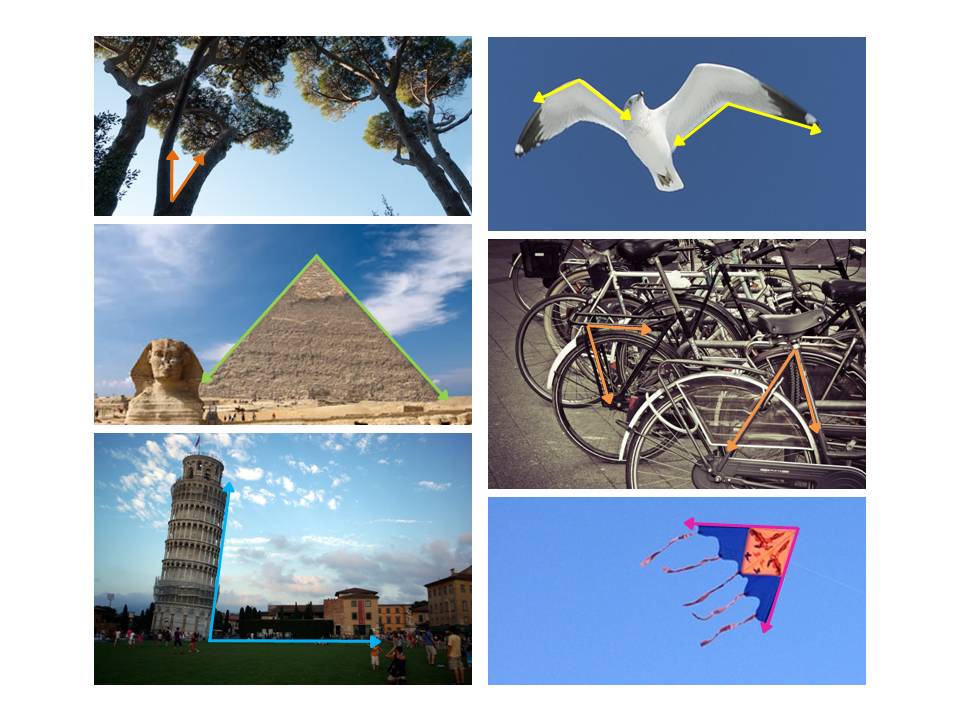 Blink Activity | BlinkLearning