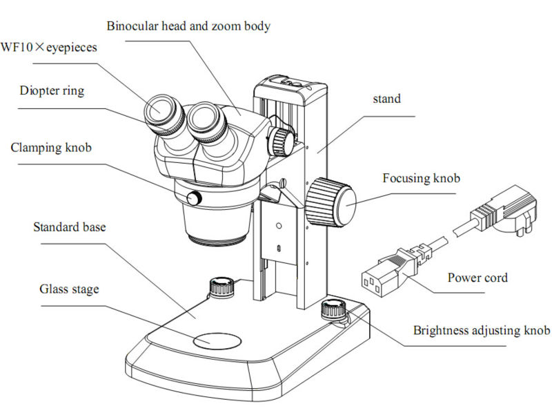 Partes Del Microscopio Estereoscopico O Lupa www.blinklearning.com