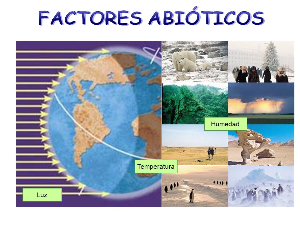 FACTORES ABIÓTICOS