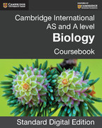 AS/A Level Biology Coursebook with CD-R 4ed