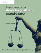Fundamentos del derecho positivo mexicano