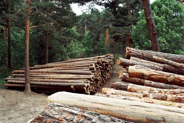 C:\Users\Beatriz\Documents\ANAYA\El Paisaje Como Recurso\paisaje_como_recurso\6_ETI0045320.jpg