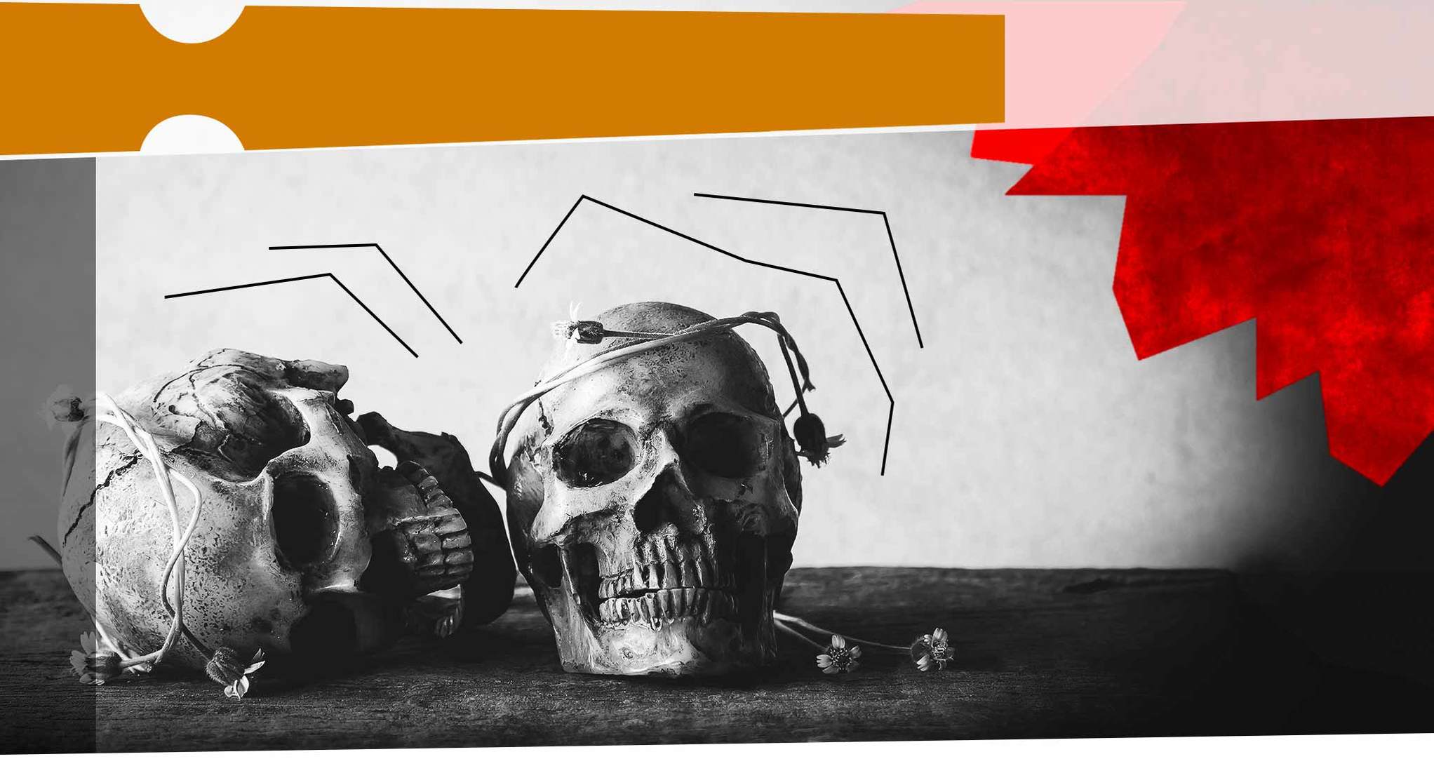 S6 portada alumno SAT