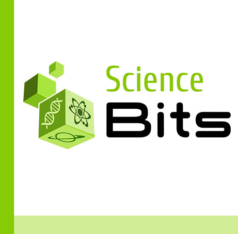 Book cover Science Bits SEK Ciudalcampo