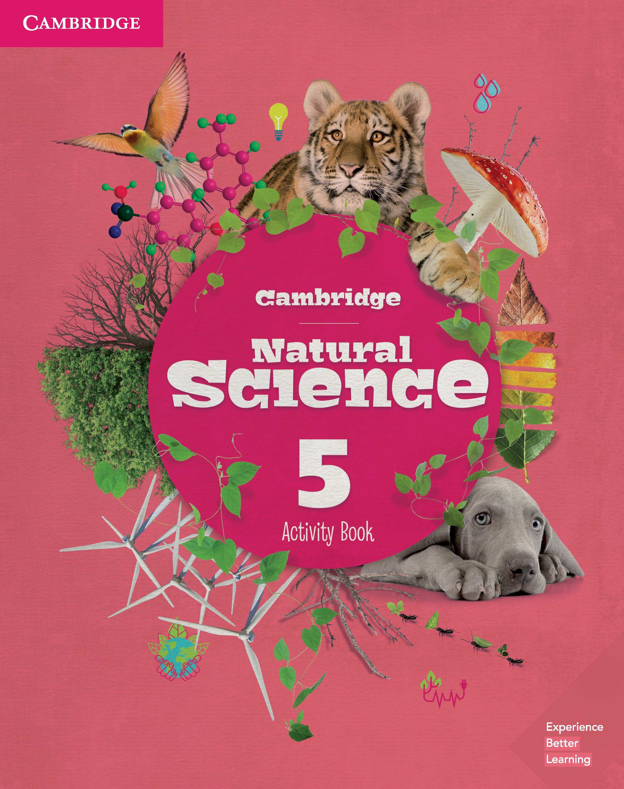 Natural Science 5 Activity Book