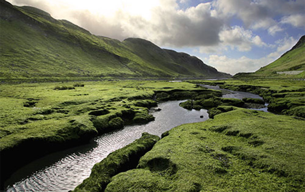 A river going between green grass covered mountains