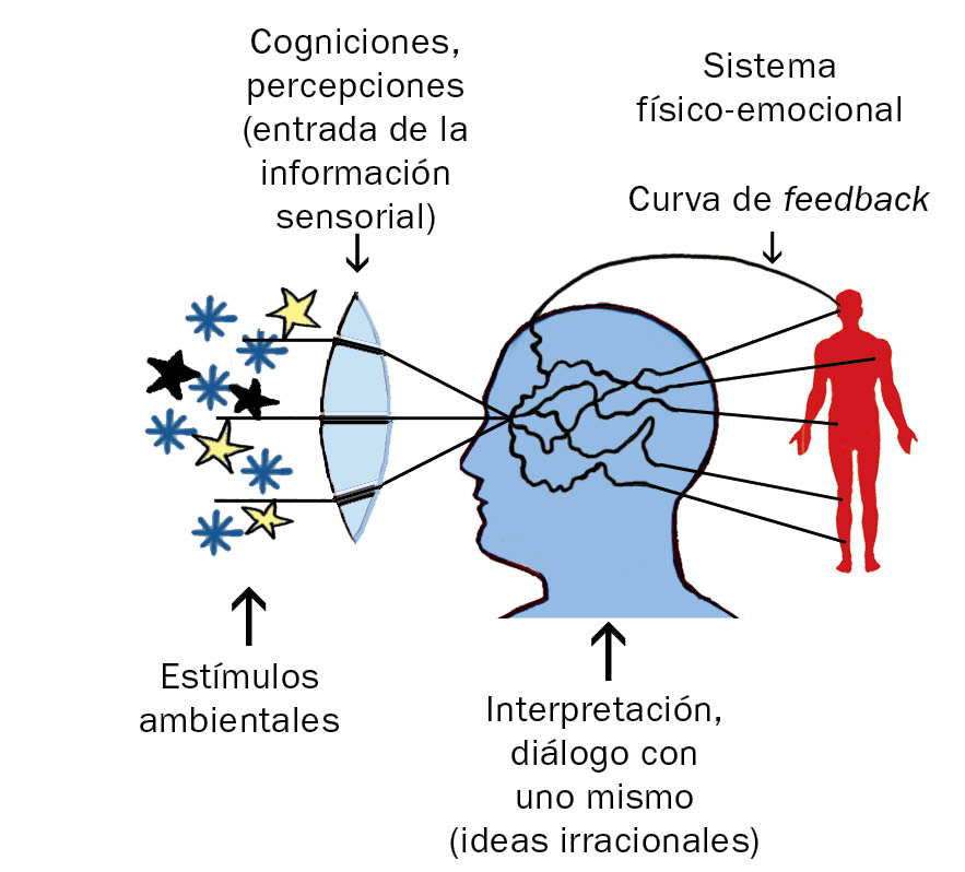 Fig. 13.9. Hechos, cogniciones y emociones.