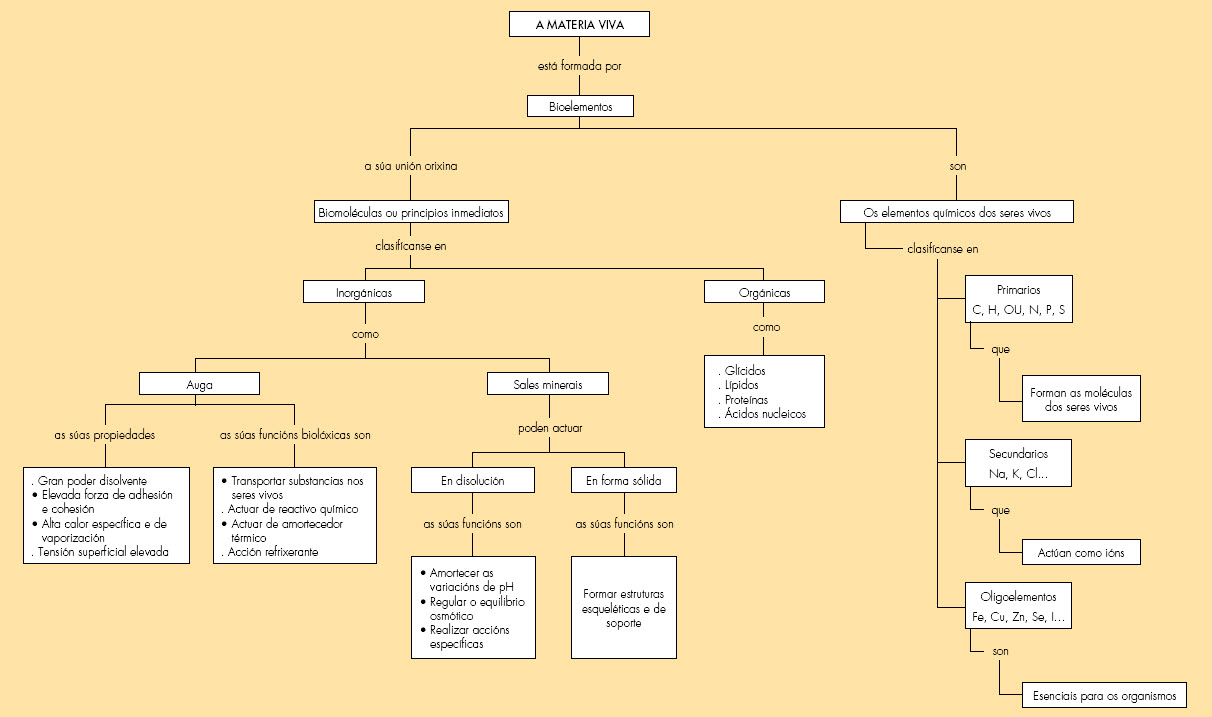 Esquema Conceptual De Las Propiedades De La Materia