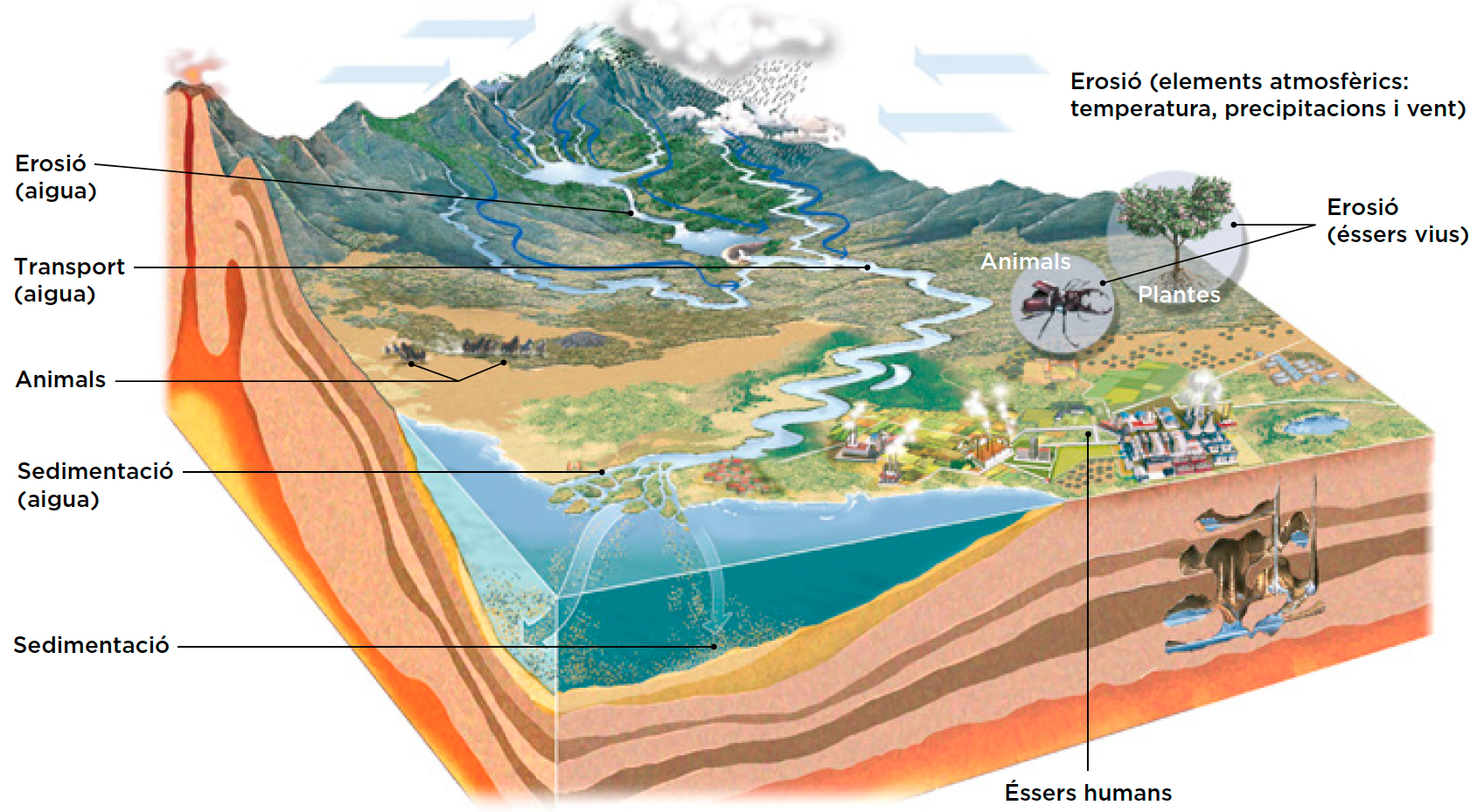 Blink Activity | BlinkLearning